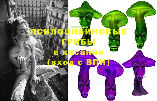 mdma Белокуриха